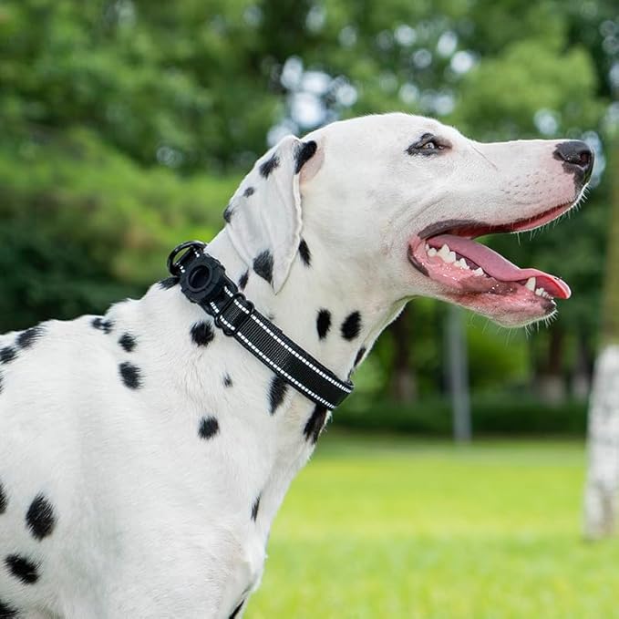 JSXD AirTag Dog Collar, Night Reflective Nylon Dog Collar for Small Medium Large Dogs,Lockable Quick Release Buckle,Padded Breathable Pet Collar with AirTag Holder (Orange, Medium)