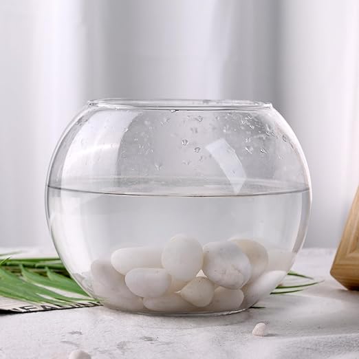 DomeStar 2.7lb White River Rocks, Polished Pebbles Decorative White Stones for Landscaping Vase Filler Fish Tank Aquariums Garden Outdoor and Indoor DIY