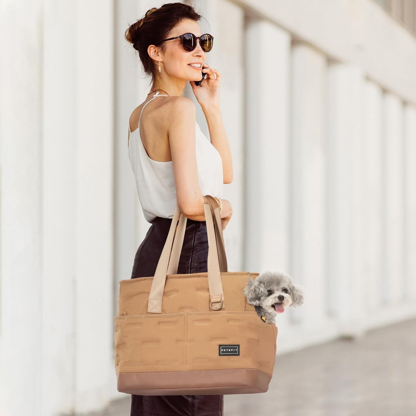 Petsfit Small Dog Carrier Purse, Portable Pet Carrier Tote Cat Carrier with Pockets, Adjustable Safety Leash, Poop Dispenser, Waterproof TPU Bottom,Khaki