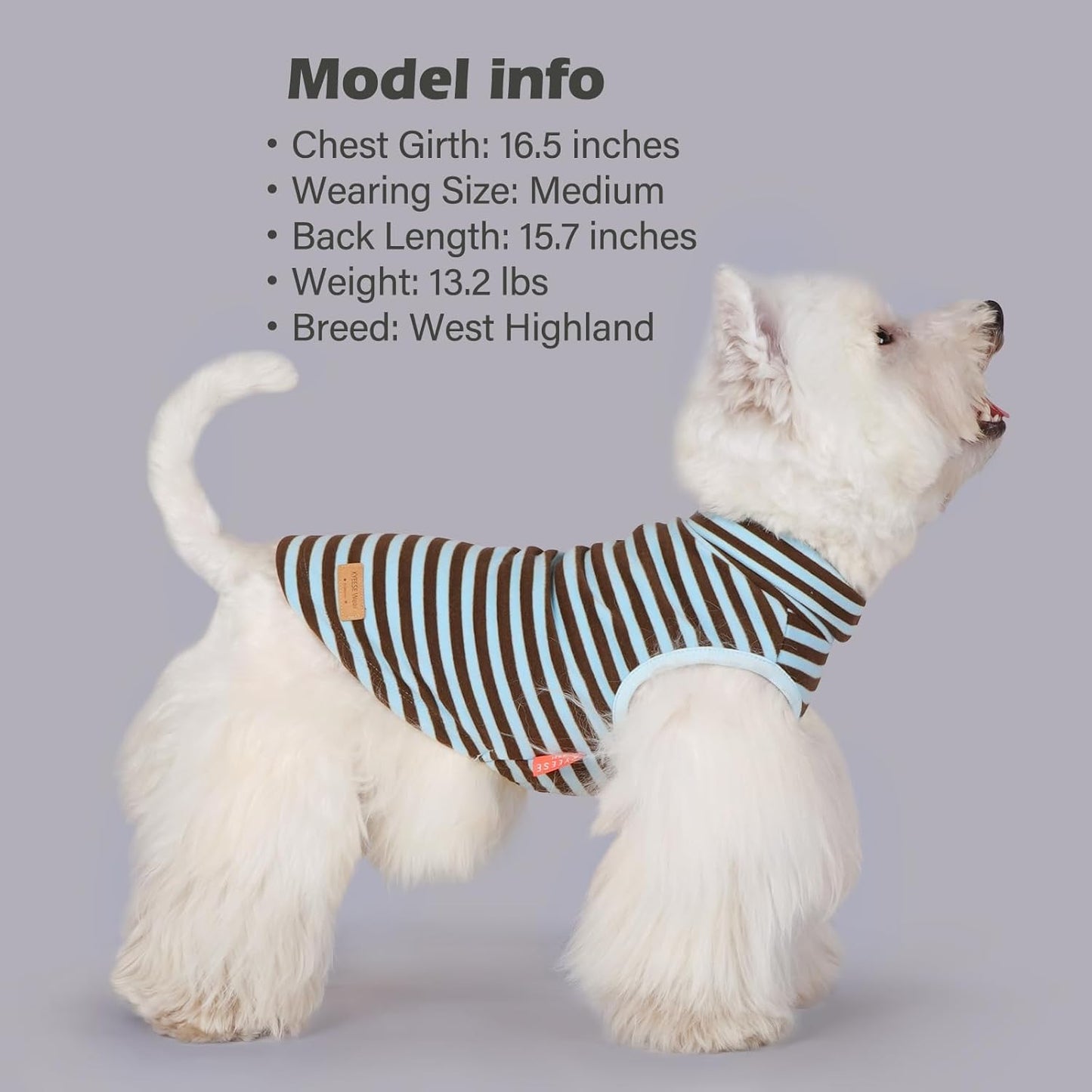 KYEESE 2Pack Dog Sweater Stretchy Dogs Clothes Soft Dachshund Clothes Warm Pets Coats Dog Sweaters for Small Dogs Male Turtleneck Small Pets Sweaters Pullover Pet Sweatshirt