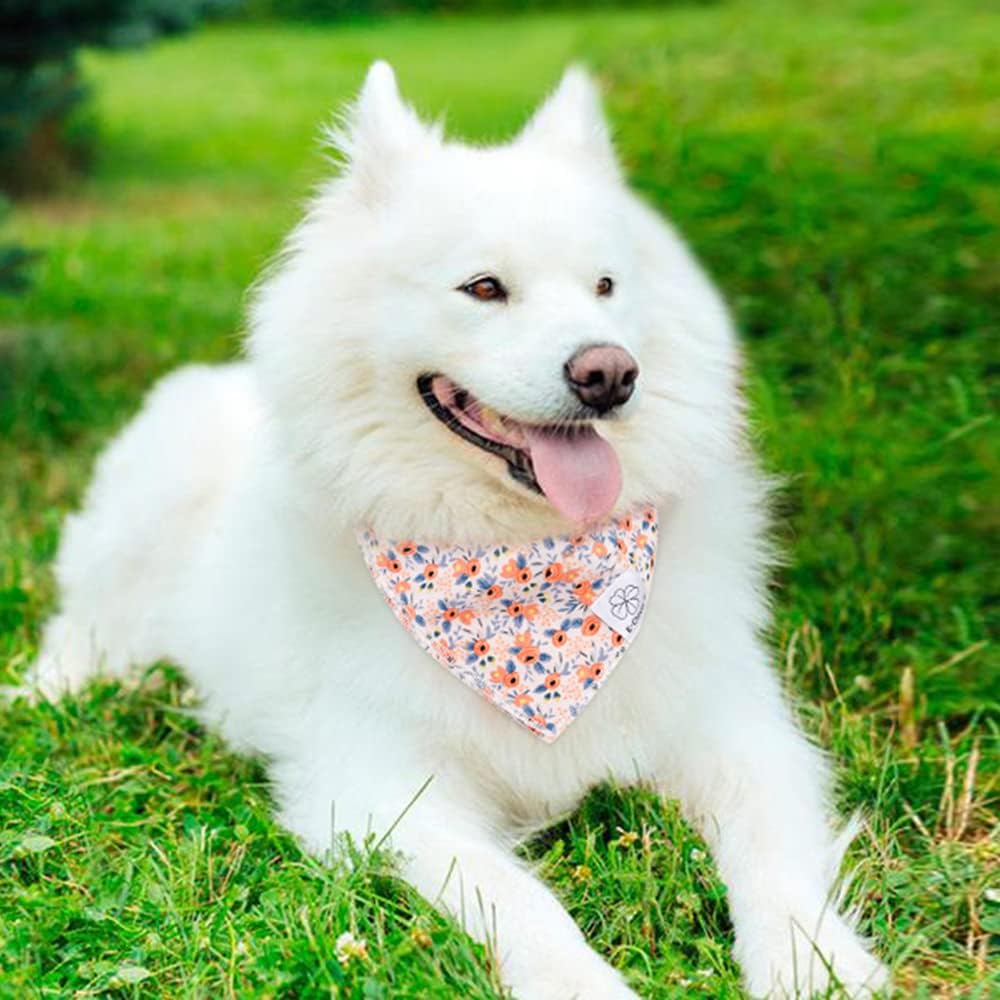 E-Clover Dog Bandanas & Matching Scrunchie Set Cute Flower Dog Scarf Bibs Girl Pet Bandana with Bow Tie for Medium Large Dogs Owner Mom Spring