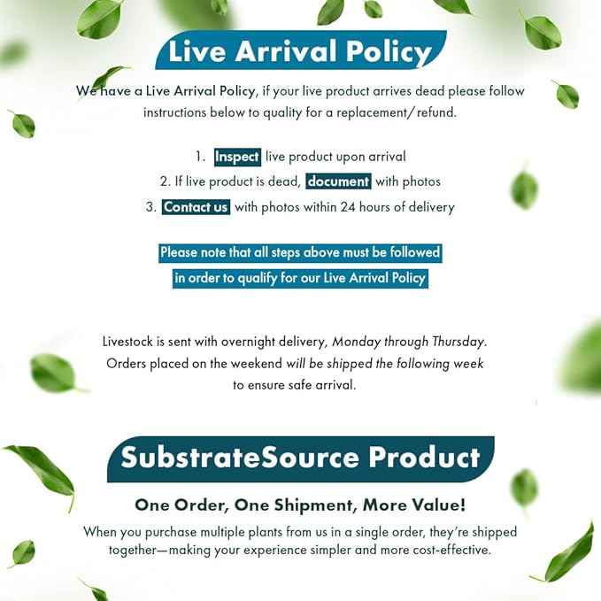 Live Plants – Anubias Nana Petite (Anubias barteri VAR. Nana 'Petite') – Low to Moderate Light, Deep Green Tiny Rounded Leaves, Foreground Placement - Planted Decor, 3 Pack