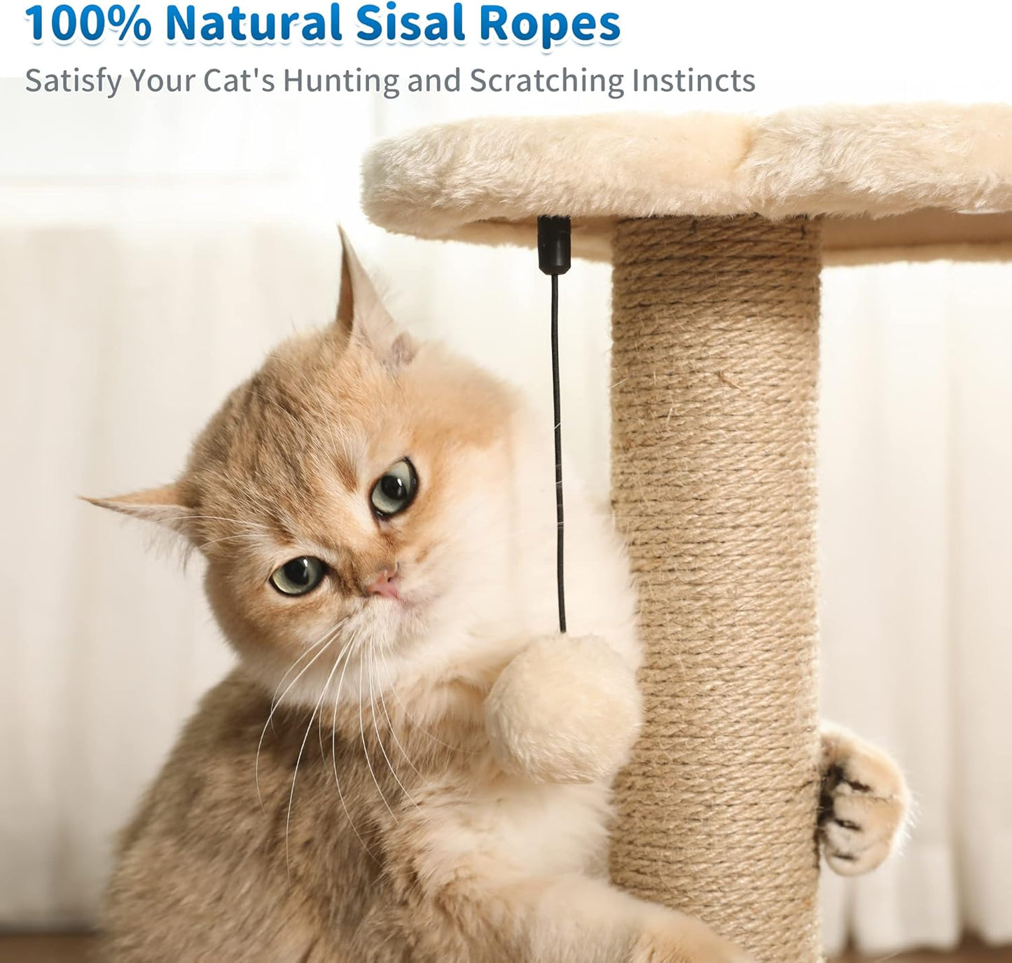 Made4Pets Cat Scratching Post, Cat Self Groomer for Indoor Cats, Cloud Soft Perch for Rest, 17.5" Tall Natural Sisal Scratcher Cat Grooming Interactive Ball Track Toys for Small Cats Kittens