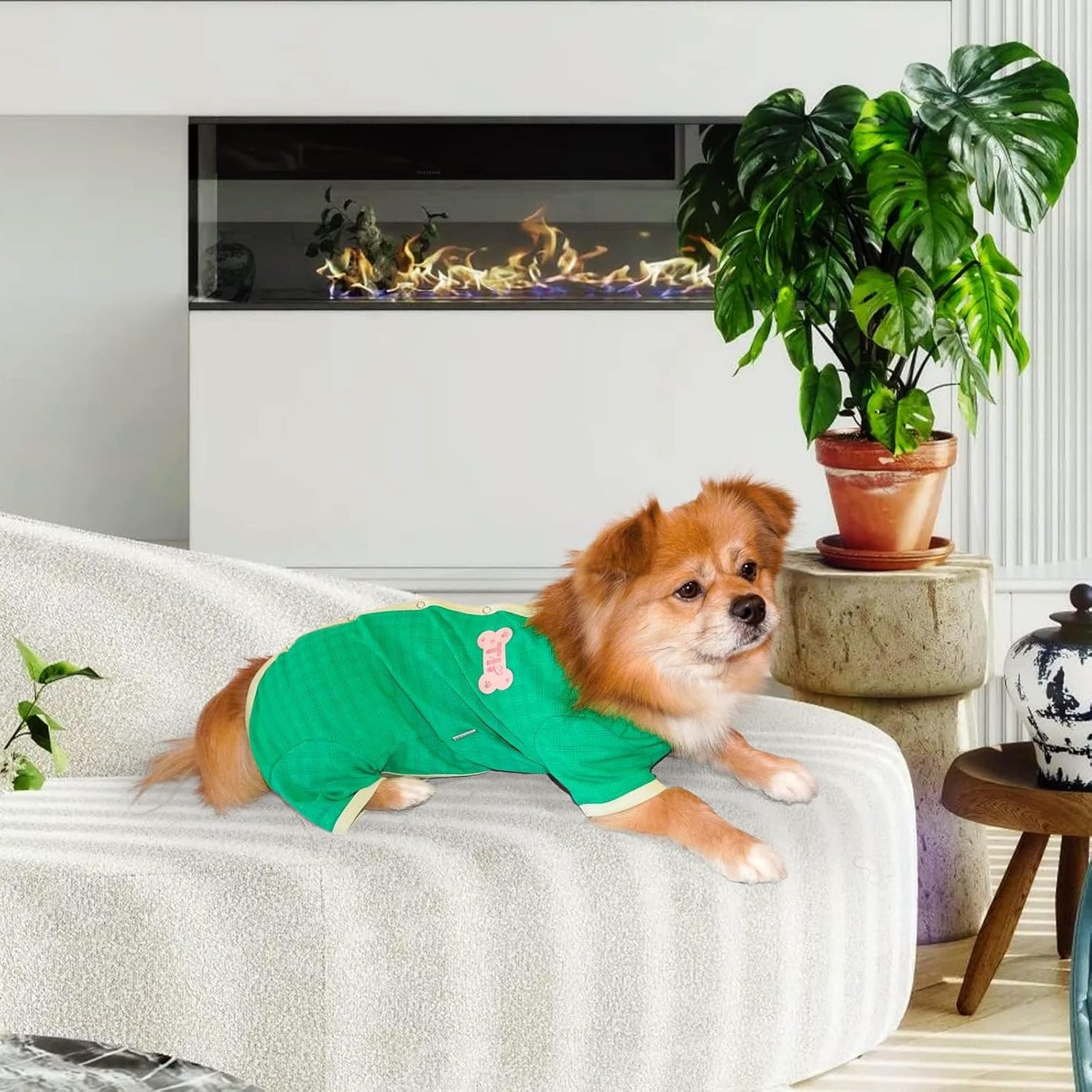 TONY HOBY Dog Pajamas, Dog Recovery Suit After Surgery, Soft Dogs Dogs Jumpsuit Shirts for Small Medium Dogs (Green, Boy, L)