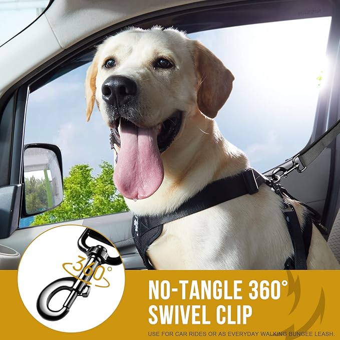 OneTigris Dog Safety Vest Harness, REX Car Use Dog Harness Adjustable Pet Harness with Leash for Medium Large Dogs(Black,M)