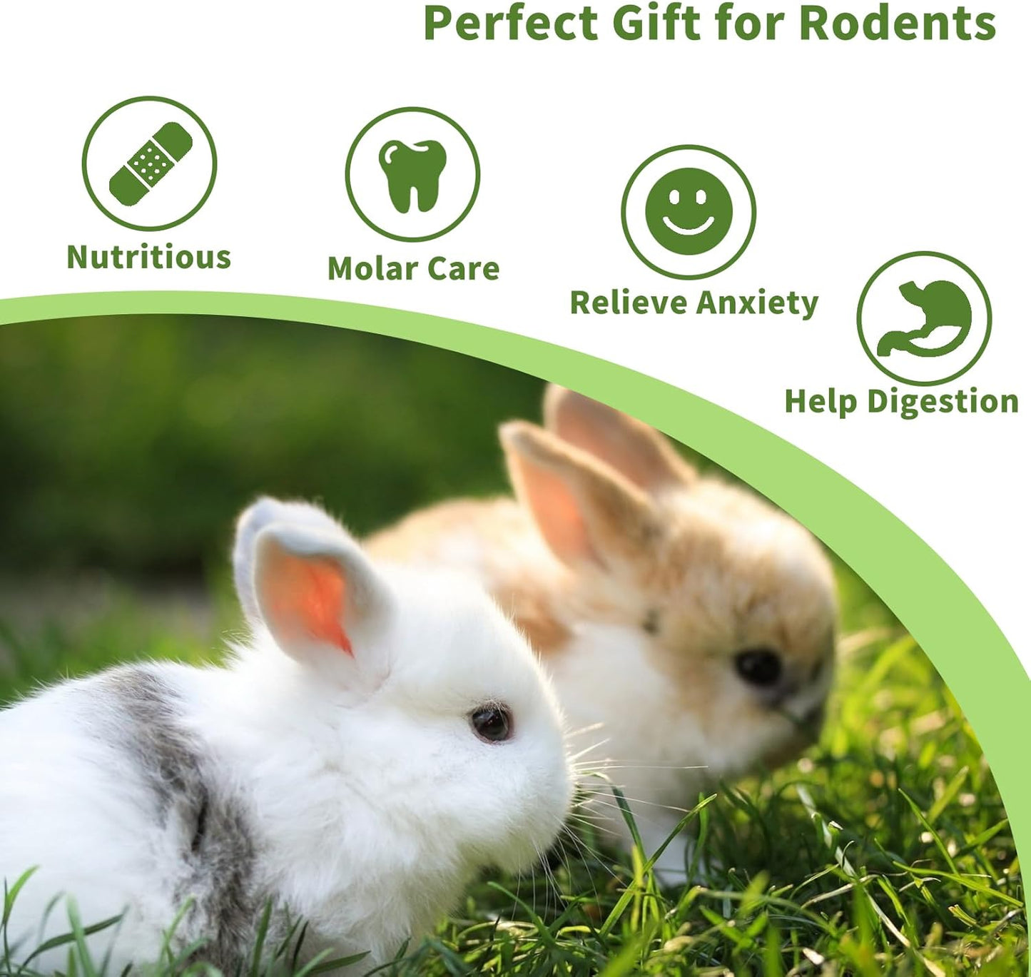 Fhiny Rabbit Chew Toys, 6 PCS 3.9" Natural Papaya Wood Chew Sticks Guinea Pig Treats for Dental Care Bunny Treats for Rabbits Small Pet Molar Snacks for Bunny Guinea Pig Chinchilla Hamster Gerbil