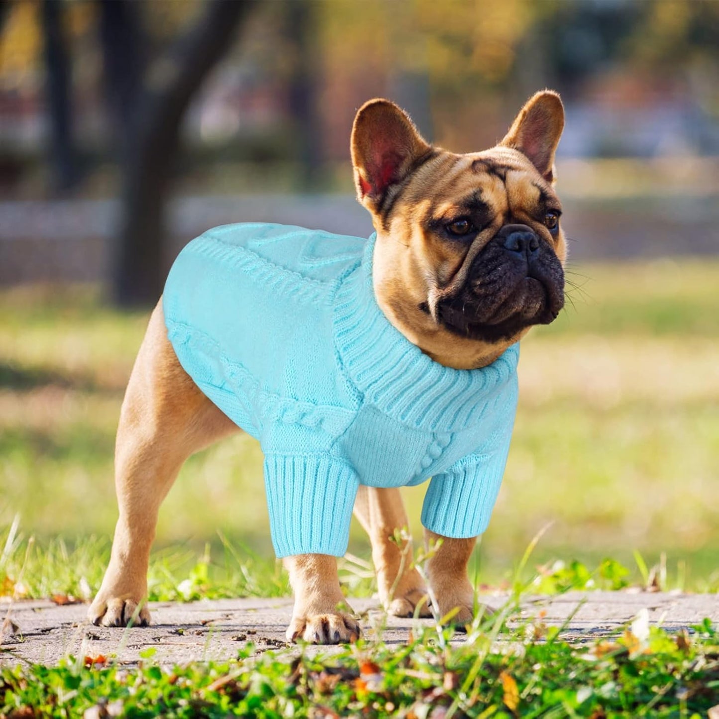 Queenmore Small Dog Pullover Sweater, Cold Weather Cable Knitwear, Classic Turtleneck Thick Warm Clothes for Chihuahua, Bulldog, Dachshund, Pug (Sky Blue, Small)