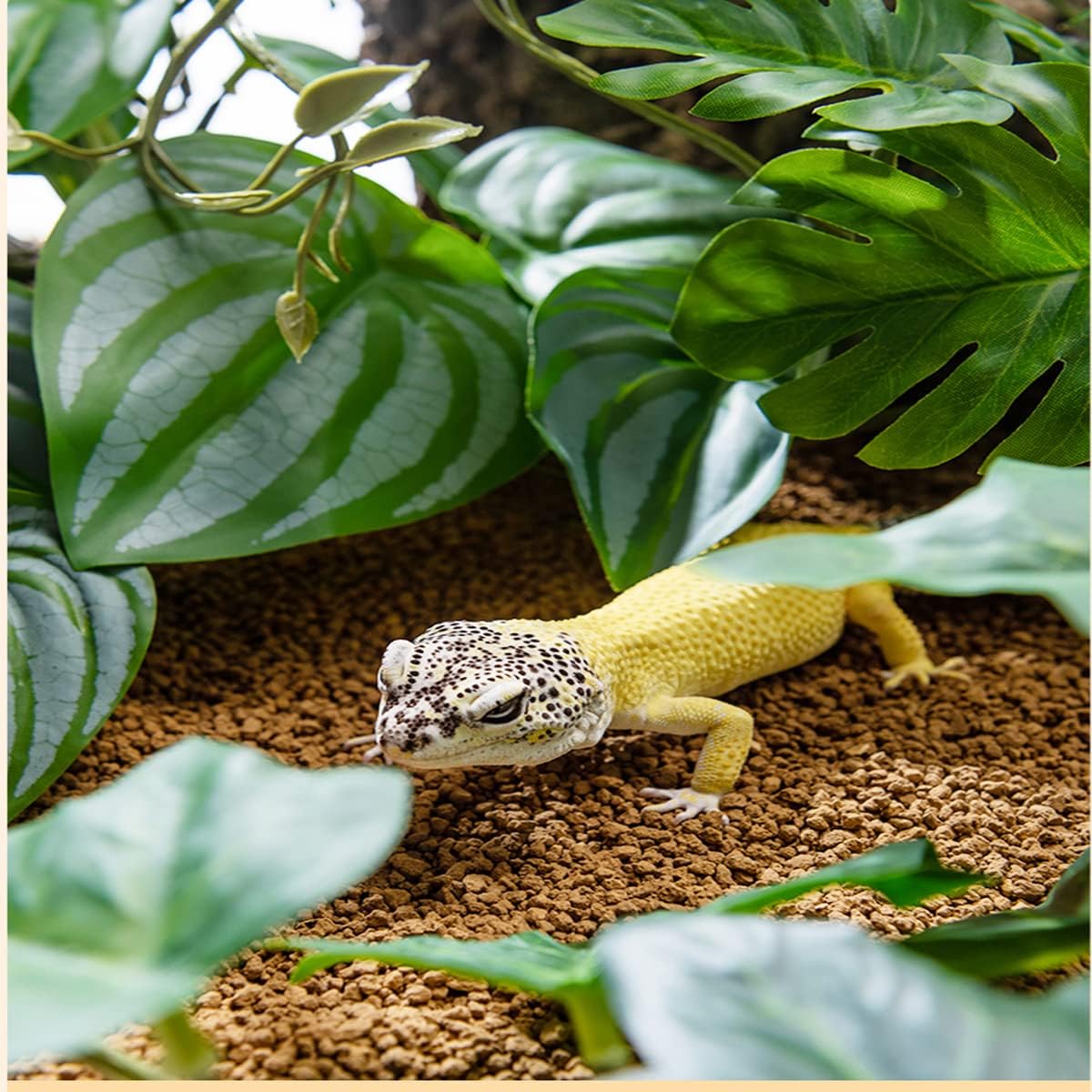 Reptile Plants for Terrarium Decor,Amphibian Habitat Decor,Artificial Plants for Gecko Chameleon Snake Tortoise Tank Accessories with Base (Green Watermelon peperomia)