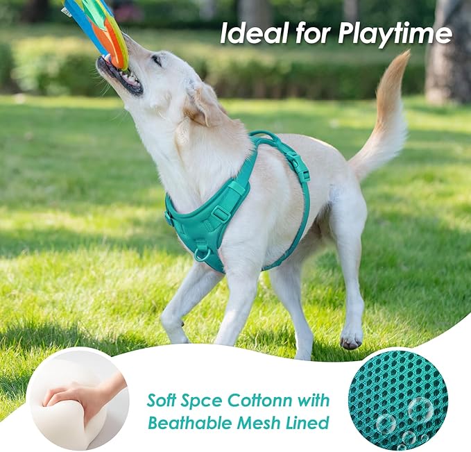 No Pull Dog Harness, Puppy Vest with Front Clip for Small Medium Large Sized Dog(MARRS Green,XS)