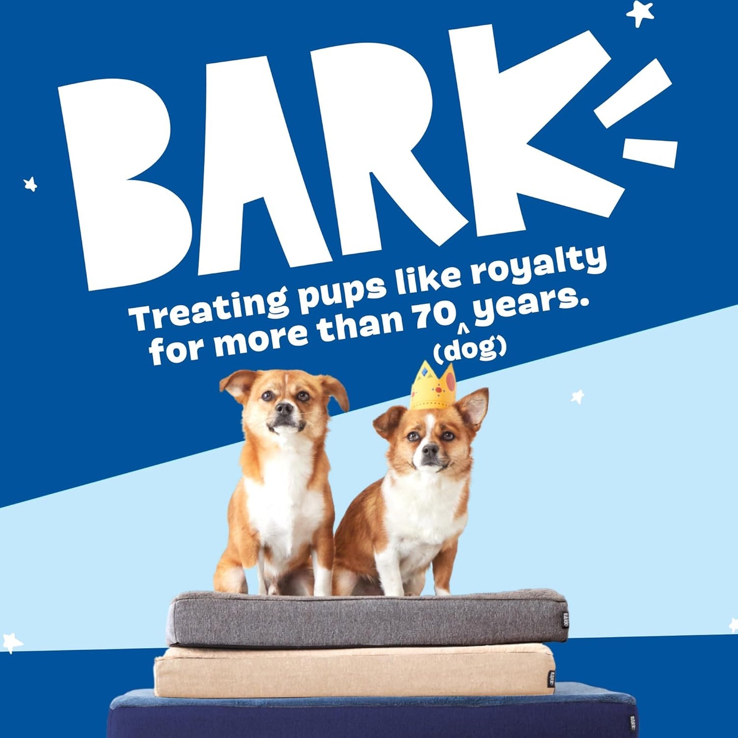 Barkbox Orthopedic Dog Bed with Memory Foam, Premium Comfort for Dogs and Puppies, Large Sized Dog Bed for Joint Relief and Restful Sleep, Durable and Easy to Clean - Grey, Large