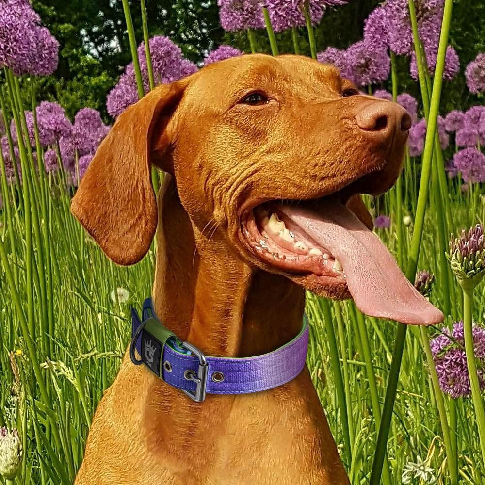 TSPRO Tactical Dog Collar 1.5 Inch Wide Thick Dog Collars with Heavy Duty Metal Buckle, Durable, Strong, Adjustable for Medium to Large Dogs (Rainbow M)