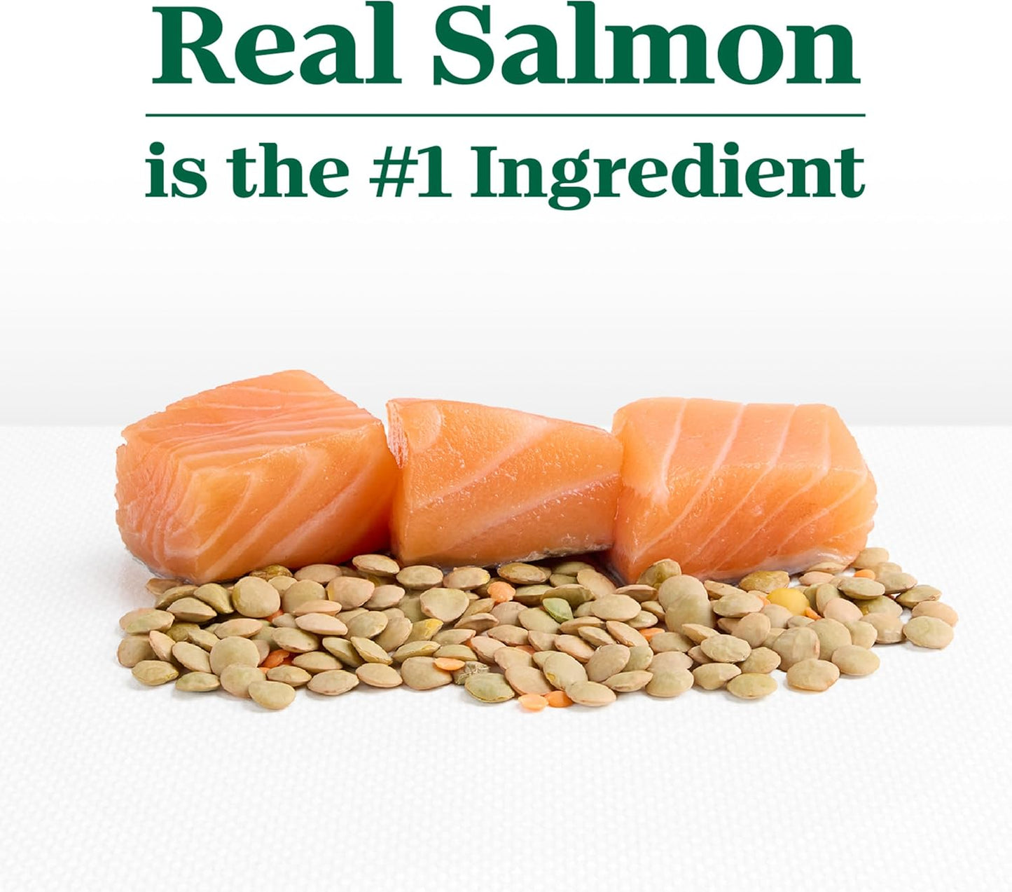 Nutro Limited Ingredient Diet Adult Dry Dog Food, Salmon & Lentils Recipe, 4 lbs.