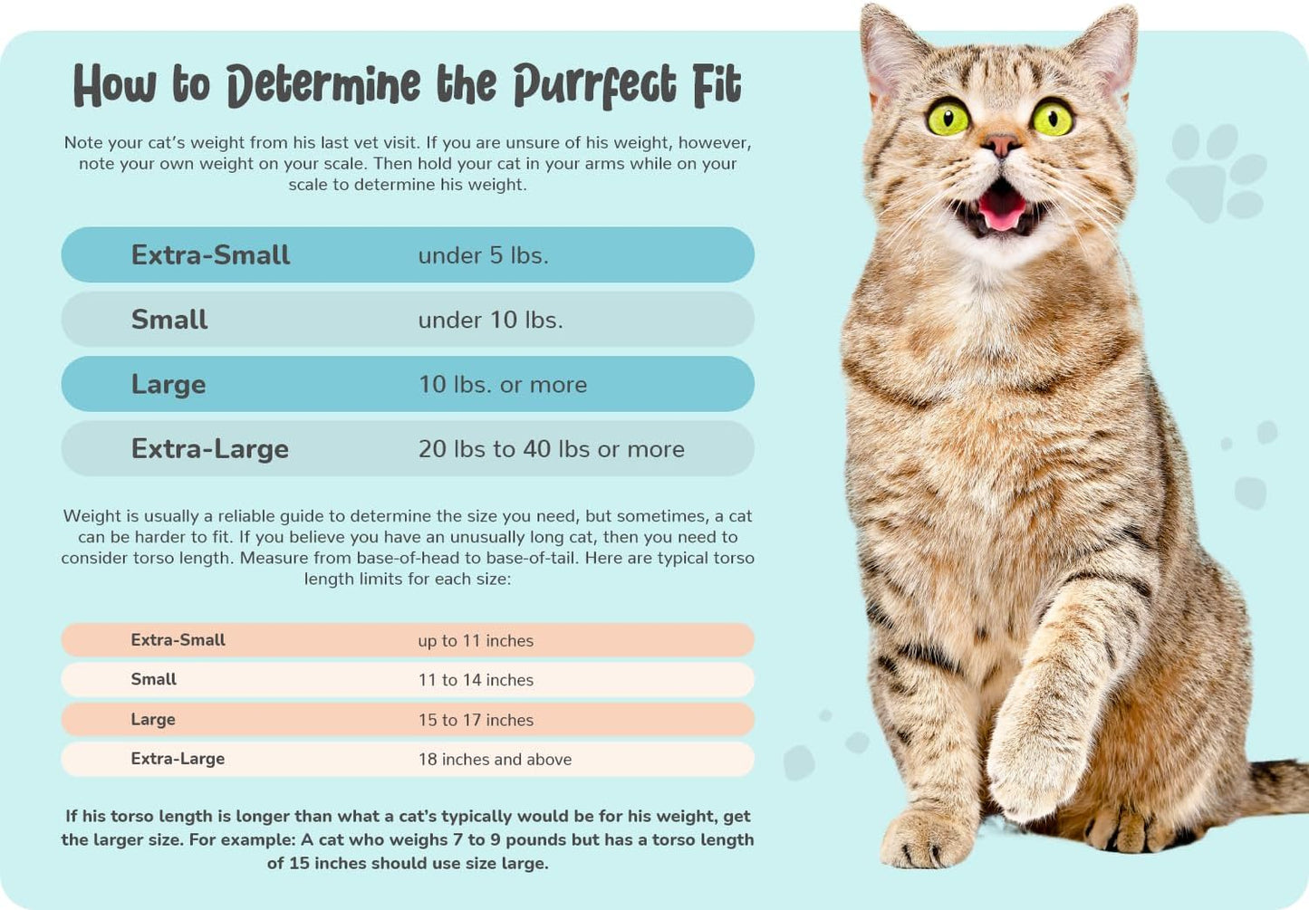 Cozy Comfort Carrier - Large Green Cat Carrier, Cat Holder for Cutting Nails, & Cat Carrier Pouch for Vet Visits, Medication Administration, Dental Care, & Travel