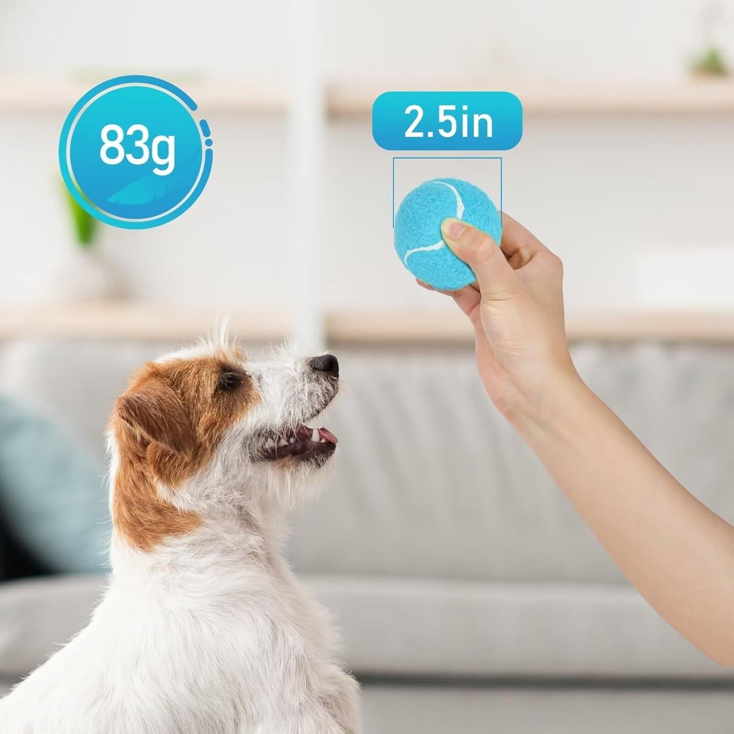 PrimePets Tennis Balls for Dogs, 2.5 Inch Thick Bouncy Ball for Dogs, Interactive Fetch Dog Toy Balls for Indoor Outdoor Play Fetch Dog Balls for Medium, Large Dogs