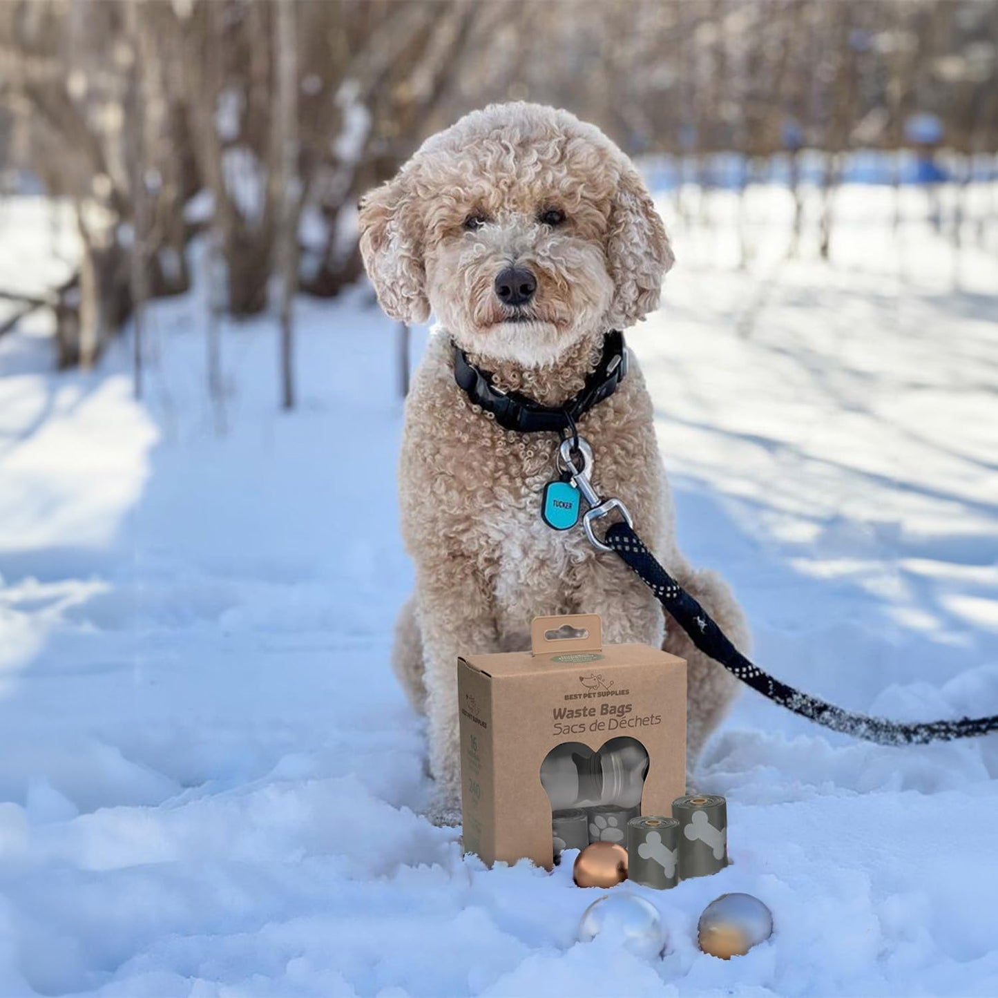 Best Pet Supplies Dog Poop Bags (240 Bags) for Waste Refuse Cleanup, Doggy Roll Replacements for Outdoor Puppy Walking and Travel, Leak Proof and Tear Resistant, Thick Plastic - Gray