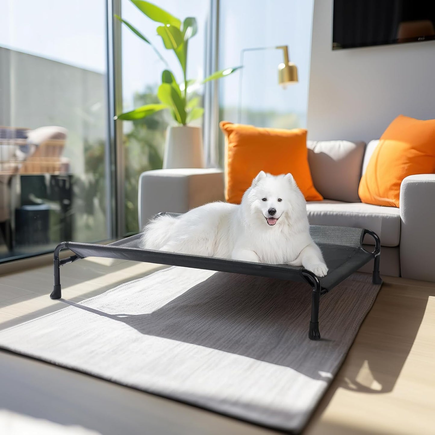 Veehoo Elevated Dog Bed, Cooling Raised Dog Bed with Guardrail & Headrest, Upgraded Non-Slip Silicon Feet, Breathable Teslin Mesh, Portable Pet Cot for Indoor and Outdoor, 35 x 22 Inches, Black