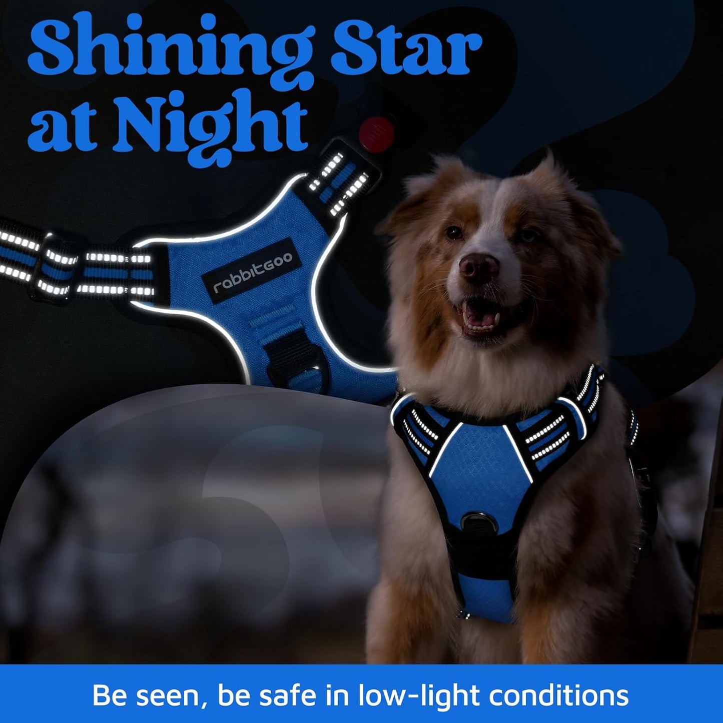 rabbitgoo Dog Harness for Large Dogs, No Pull Pet Vest with 3 Buckles, Adjustable Soft Padded Pet Harness with Easy Control Handle and Reflective Strips, Blue, L