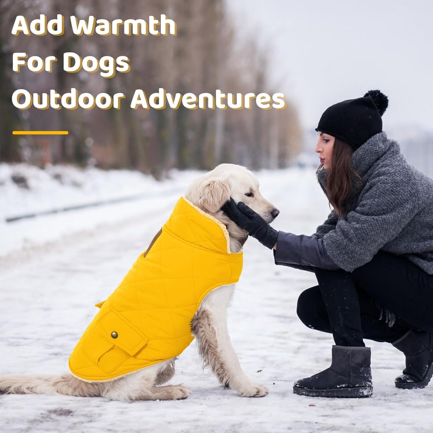 Queenmore Dog Winter Coat Warm Puffer Jacket Waterproof Plush Lining Thermal Cold Weather Vest for Small Medium Large Dogs, Windproof Easy On Pet Jacket Yellow XS