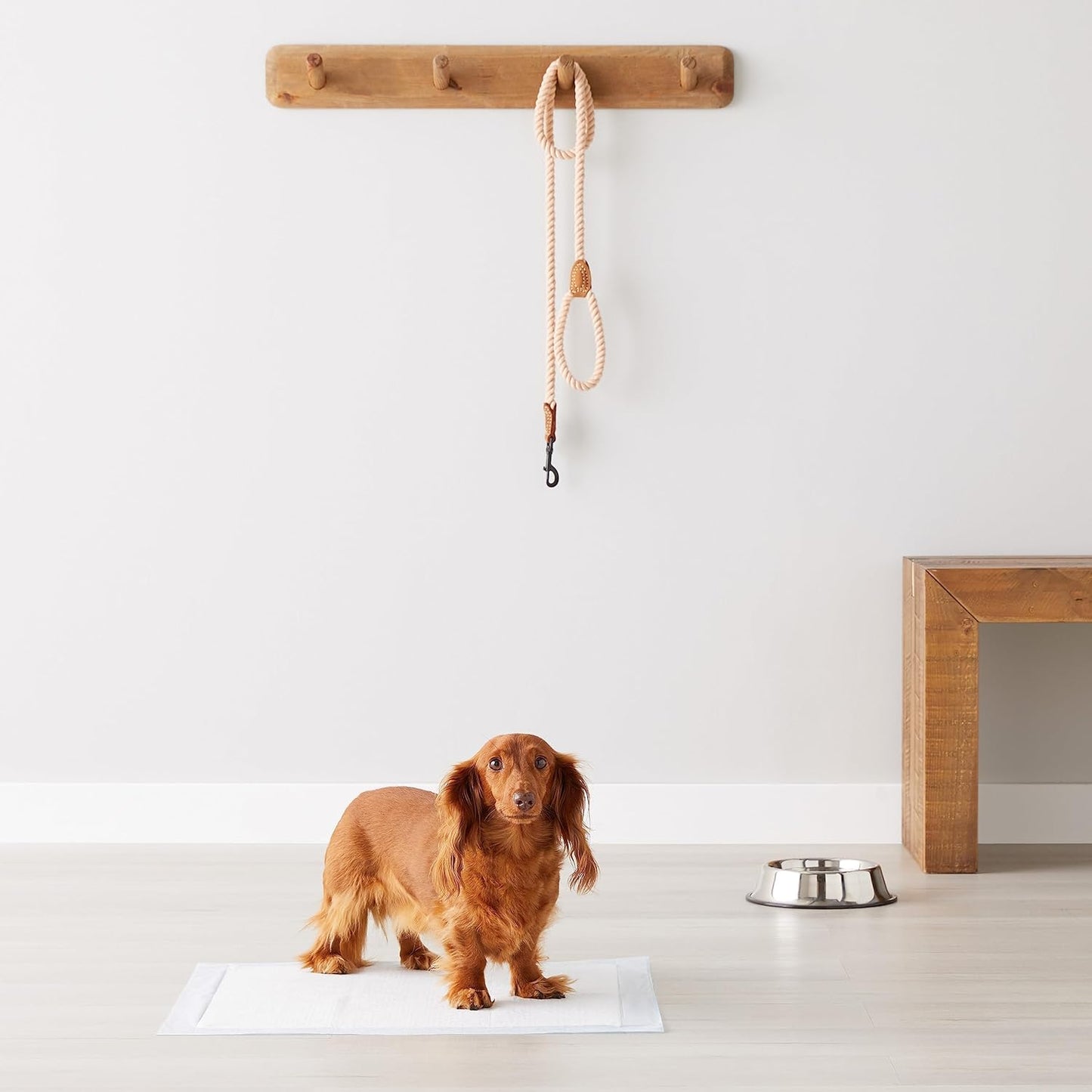 Amazon Basics Dog and Puppy Pee Pads, 5-Layer Leak-Proof Super Absorbent, Quick-Dry Surface, Potty Training, Regular (22x22"), 150 Count, Blue & White