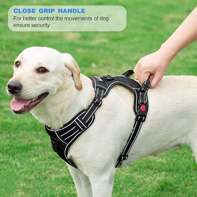 No Pull Dog Harness Adjustable Reflective Oxford Easy Control Medium Large Dog Harness with A Free Heavy Duty 5ft Dog Leash (S (Neck: 14"-17", Chest: 18"-21"), Red Harness+Leash)
