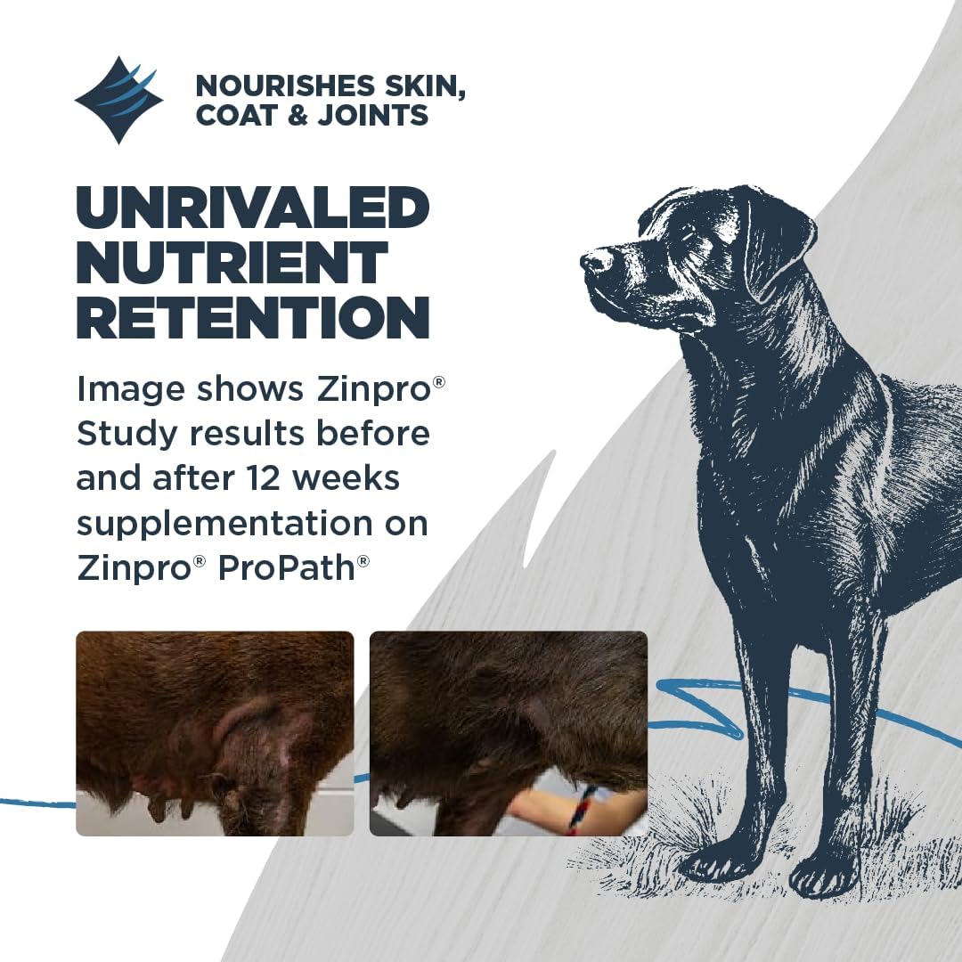 Blackwood Sensitive Skin & Stomach Dry Dog Food, Catfish Meal & Brown Rice with Ancient Grains, 24 Pound Bag with Prebiotics & Probiotics to Promote Gut Health