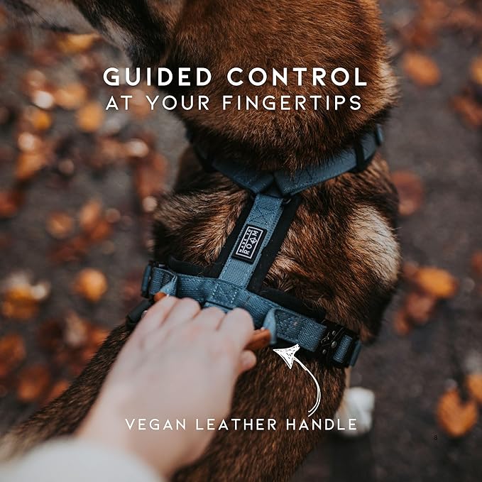 MADE TO ROAM Premium Explorer Harness - Y-Shaped Dog Harness with Adjustable Durable Nylon, Soft Padding, Metal Buckles and Leather Handle for Small, Medium, Large Dogs (Utah Glow, Size 1)