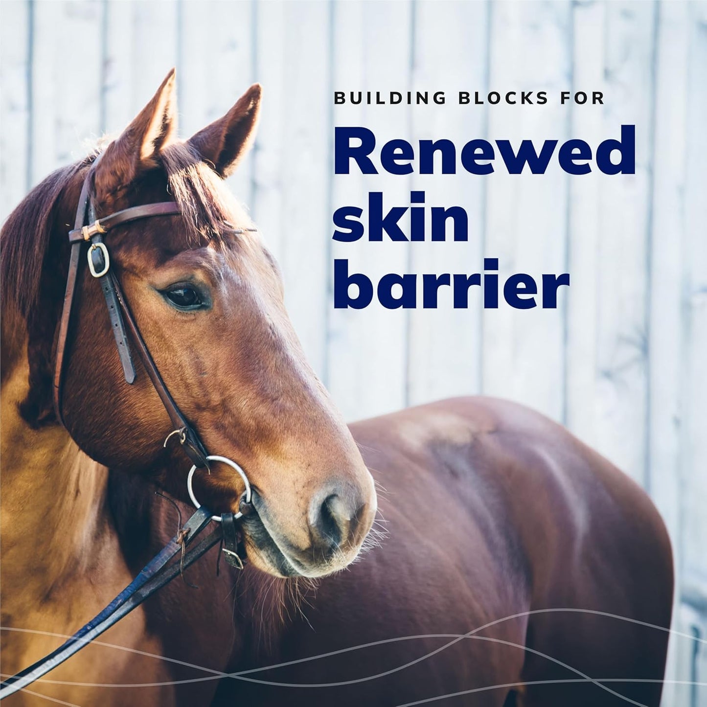 CeraSoothe® SA Otic Cleansing Solution 16oz