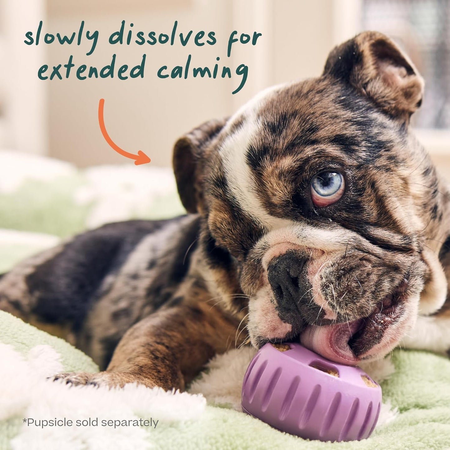 WOOF Calming - Double Pack - Large