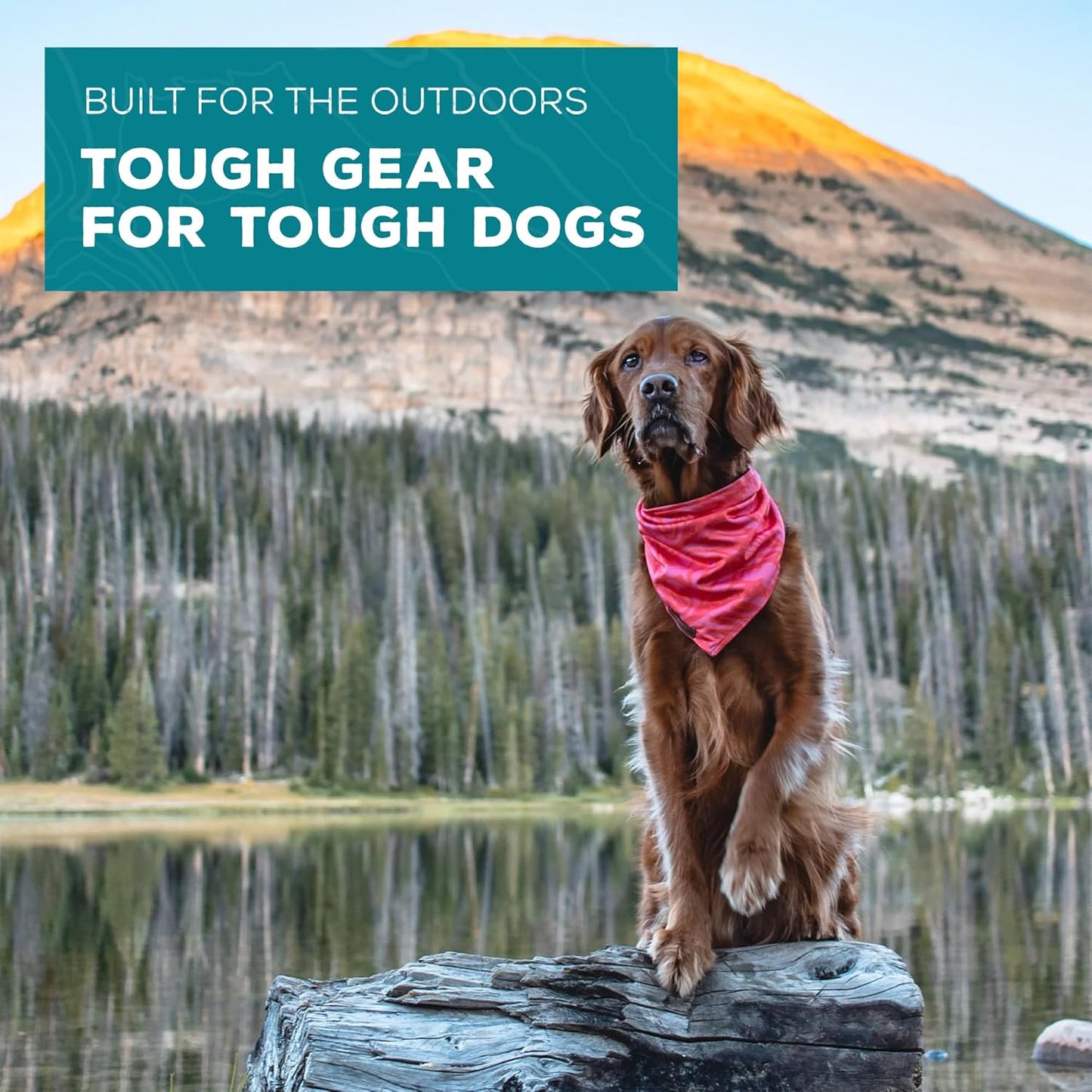 Wilderdog Dog Bandana with Lightweight Quick Drying Poly-Blend Mesh Material in Papaya