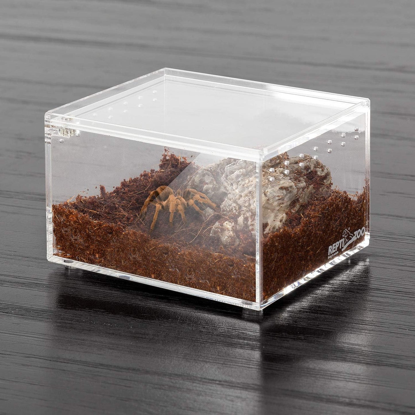 REPTI ZOO Magnetic Acrylic Case 4.1"x3.3"x2.5" Nano Enclosure Reptile Breeding Box Terrarium Cage Tank Tarantula Scorpion Sling Isopods Lizards Roach Invertebrates Insect Mantis