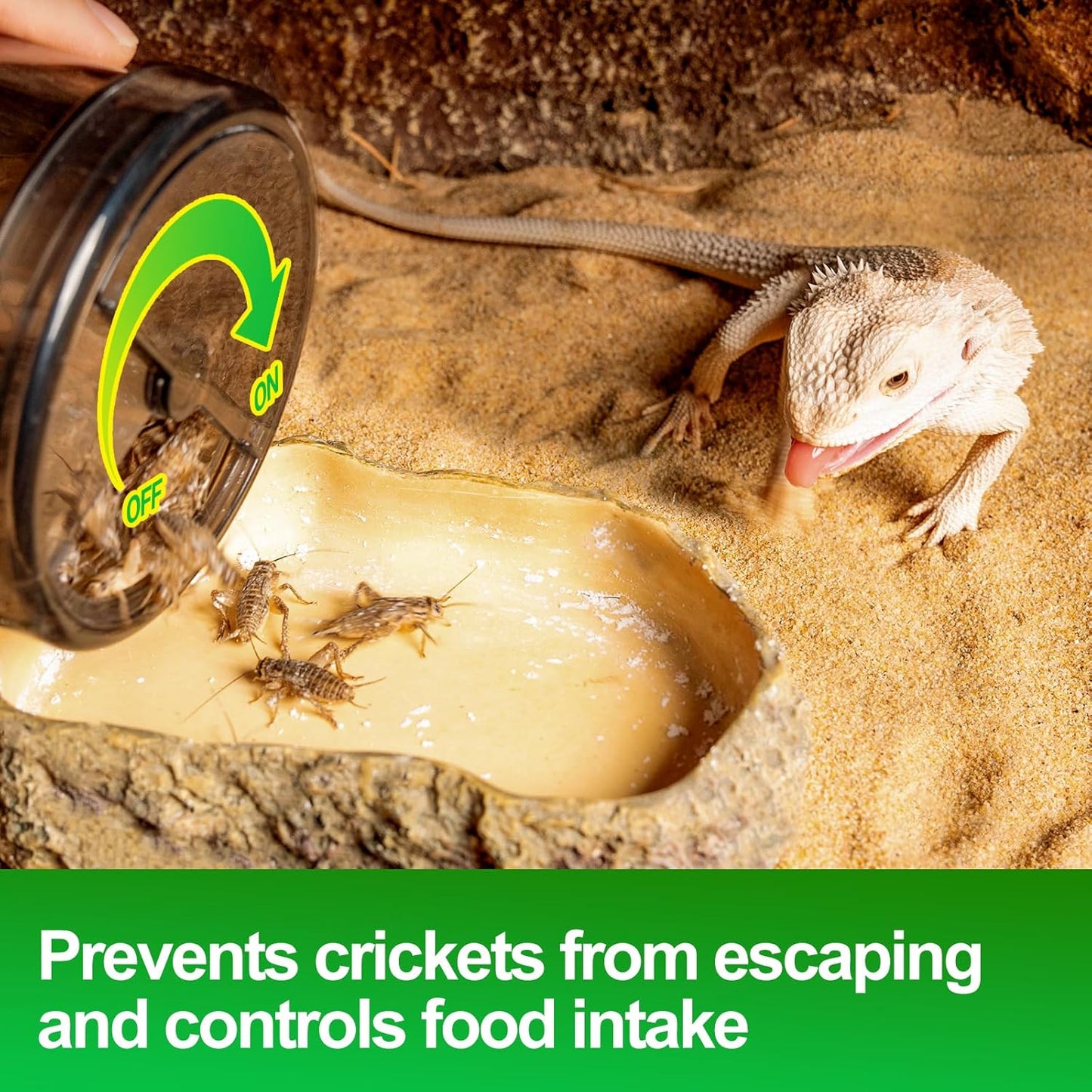 Cricket Calcium Powder Mixer, Reptile Cricket Keeper, Reptile Calcium Duster for Bearded Dragon Gecko Lizard Snake Chameleon