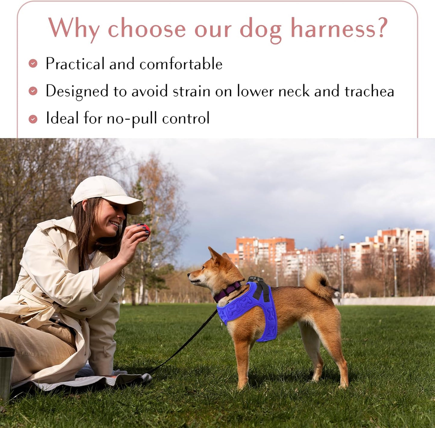 Comfort Fit Dog Harness Soft Padded No Pull Harness with Adjustable Buckles for Small Medium Large Dogs Step in Pet Vest with Easy Control Handle for Walking Jogging Running Training Dogs & Puppies