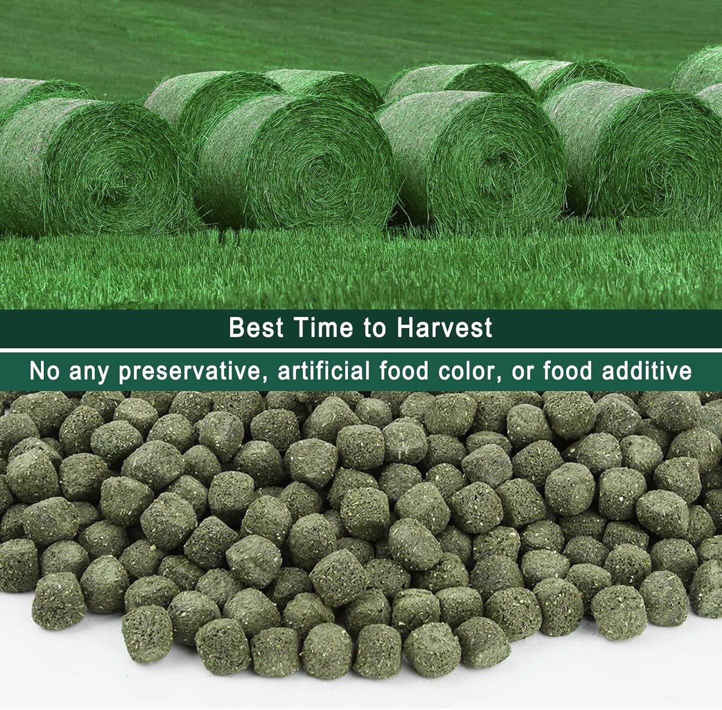 Timothy Hay Cubes 10 oz with Small Size - Timothy Grass Pellets for Tortoises Rabbits Guinea Pig Chinchilla