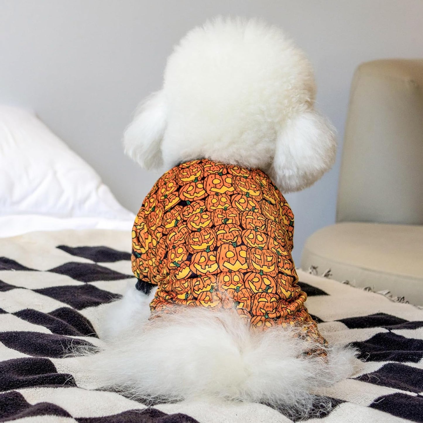 CuteBone Dog Halloween Pajamas Puppy Onesies Small Dogs Soft Pjs Coat Cat Apparel Comfy Pet Clothes Outfit Doggie Bodysuit P301S