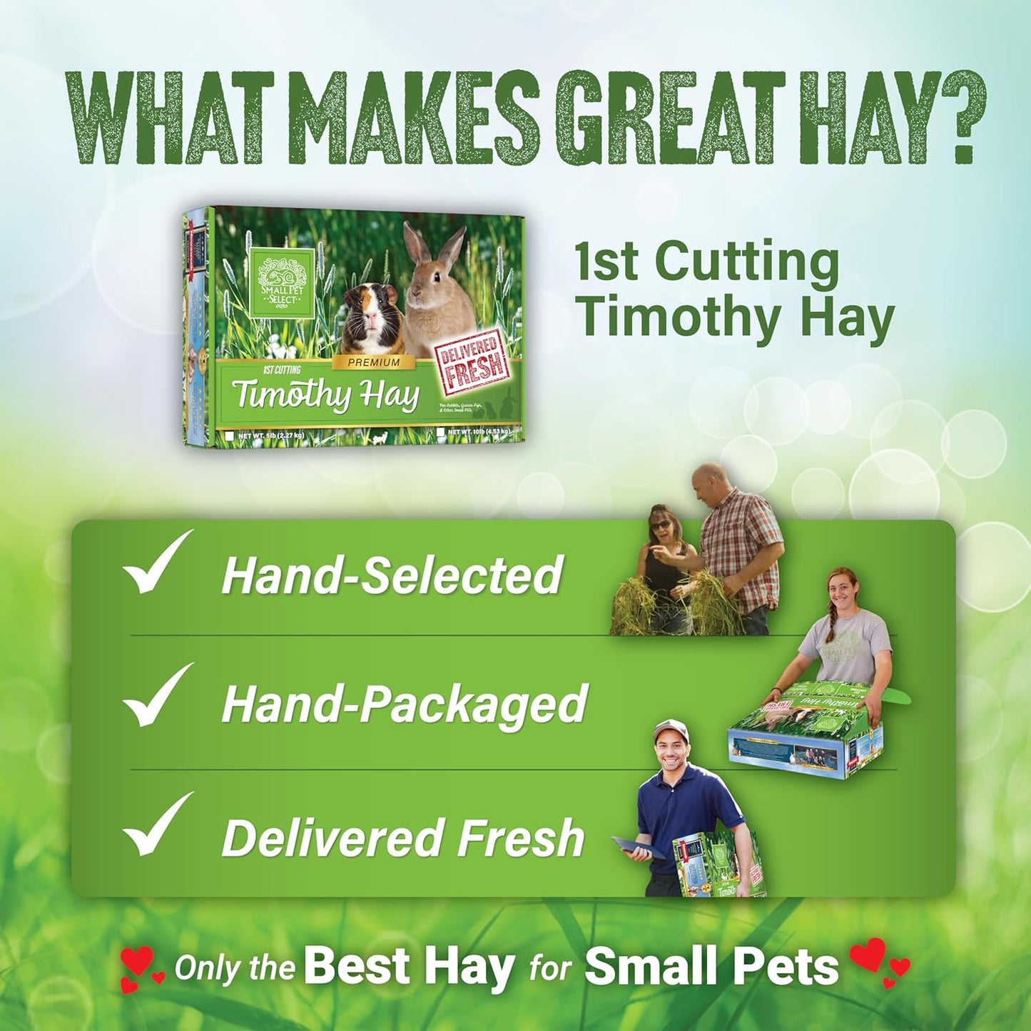 Small Pet Select 1st Cut Timothy Hay Pet Food for Rabbits, Guinea Pigs, and Other Small Animals, Easy to Store Box, 10 LB