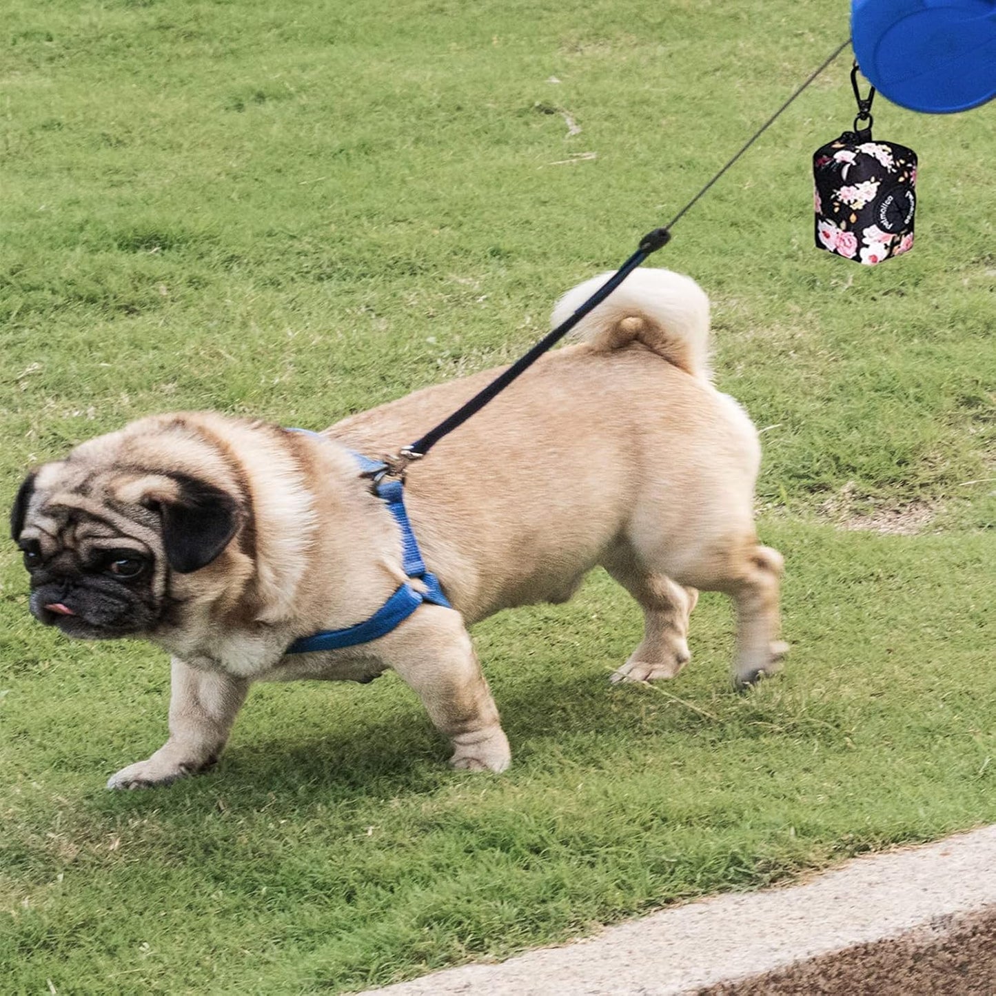 Petmolico Dog Poop Bag Holder Leash Attachment, Dog Waste Bag Dispenser Zippered Pouch, Fits Any Leash, Includes Free Roll of Poop Bags Dispenser - 2 Pack, Colorful Leopard