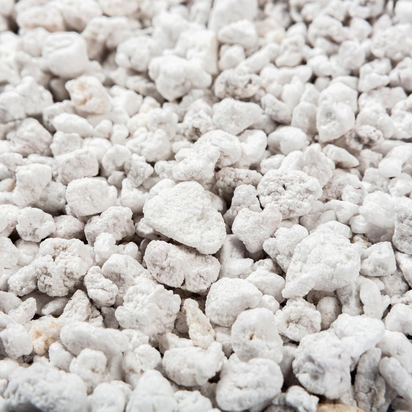 Perlite Bliss (24 Qts) - Organic Perlite for Plants - Coarse Perlite Bulk Soil Amendment - Chunky Perlite for Plants, Potting Soil, Garden Soil, & Coco Coir - Horticultural Perlite for Gardening