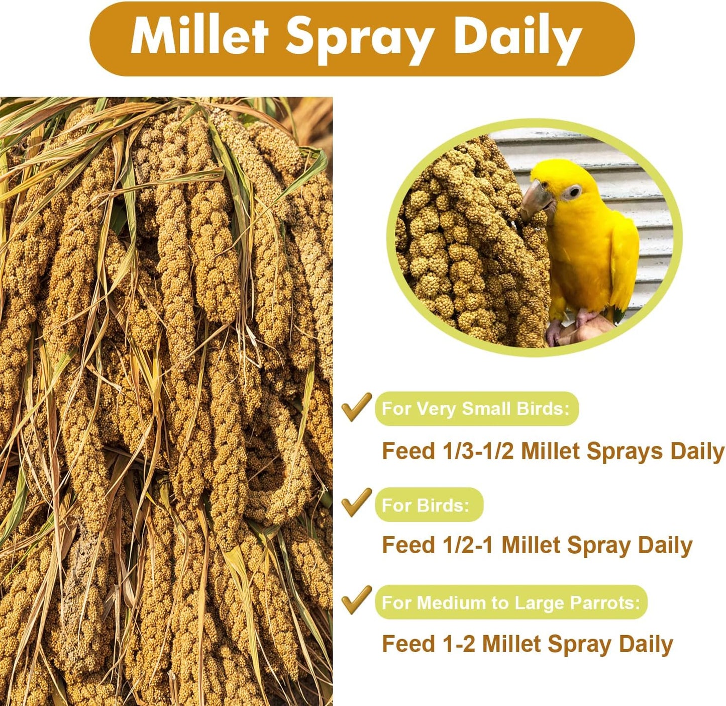 Jmxu's 1LB Spray Millet Treat for Birds Parakeets, Natural Sun-Dried Birds Millet for Cockatiel, Budgie, Finches, Parrots, Hamster