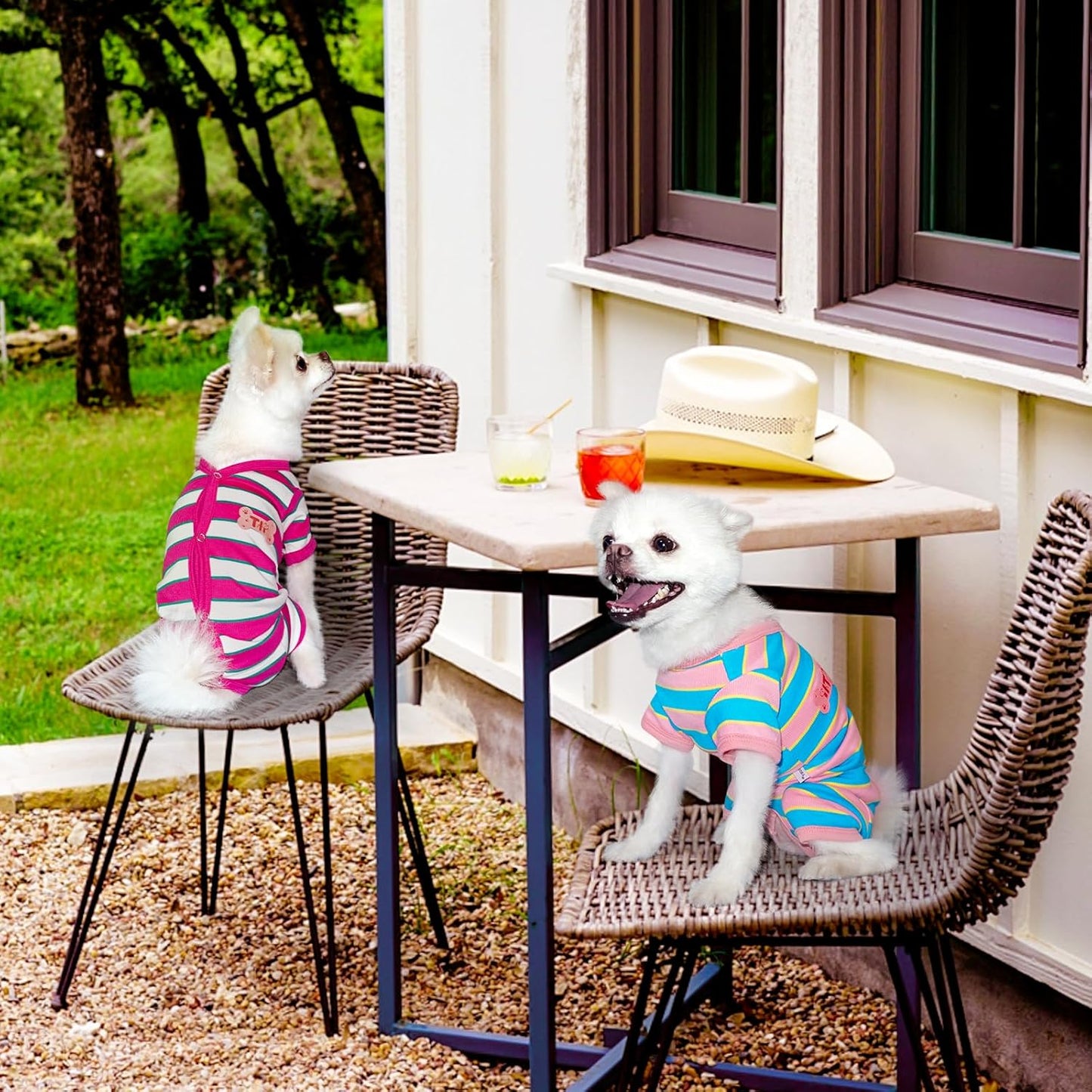 TONY HOBY Male Dog Pajamas, Dog Jumpsuit with Rose Red Stripe, Colorful Dogs Shirt for Small Medium Dogs (Rose Red&White, Boy, S)