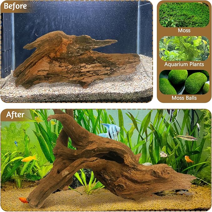 kathson Natural Aquarium Driftwood Decoration Branches Reptiles Terrarium Ornament Wood Fish Tank Habitat Decor Assorted Sizes Wood 4 PCS (6"-10")