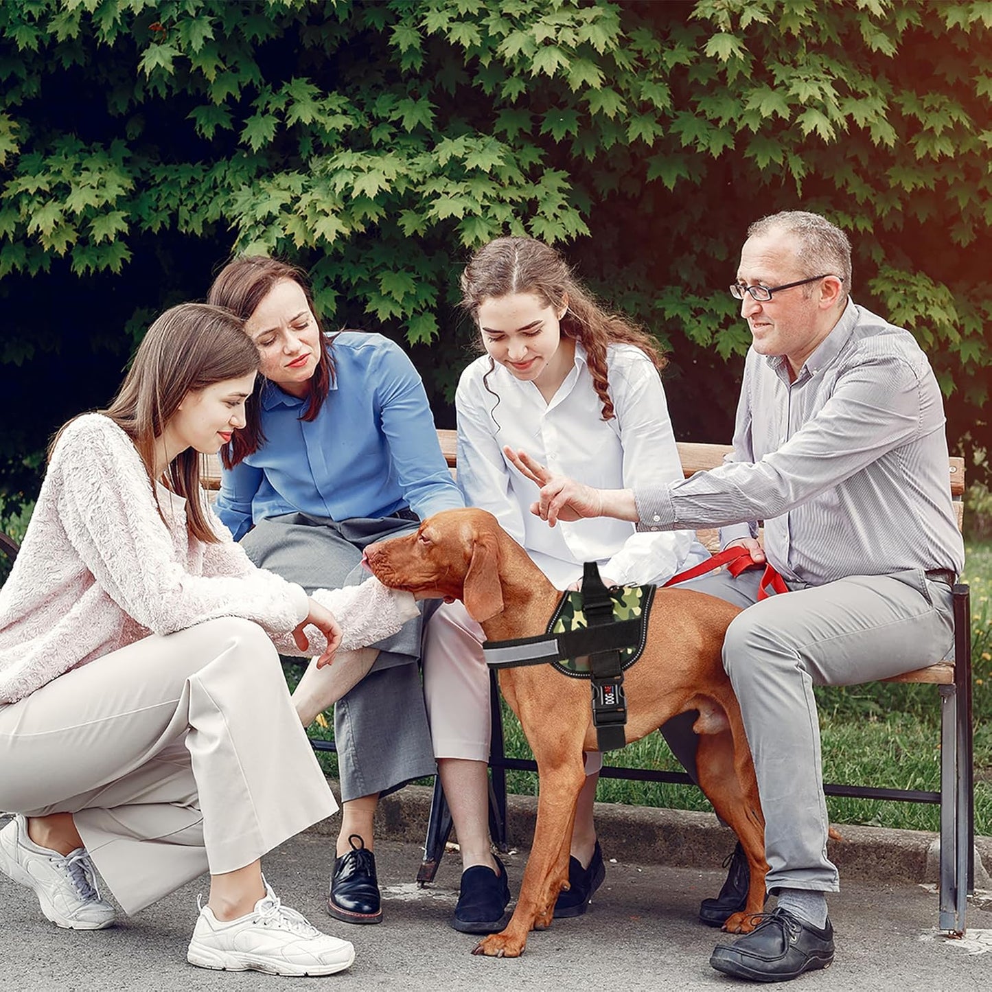 Dogline Dog Harness, Reflective No-Pull Adjustable Vest with Handle for Walking, Training, Breathable, No - Choke Harness for Small, Medium or Large Dogs Room for Patches Girth 22"-28" in Green Camo