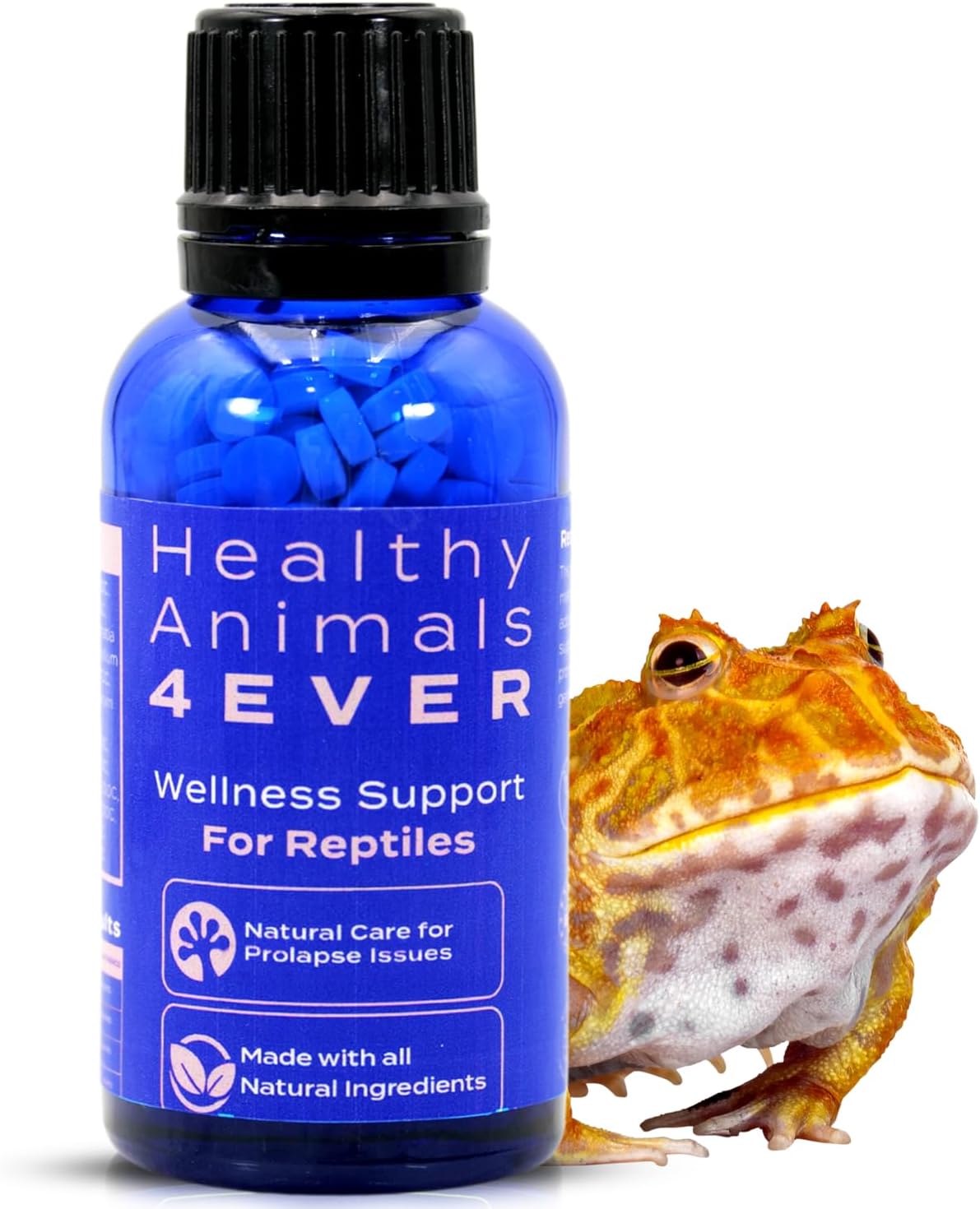 Premium reptile and amphibian health supplies designed for optimal habitat wellness and vitality by OpulentPaws
