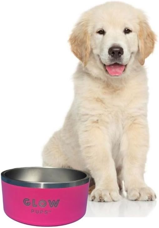 Bright Pink Dog Bowl for Small Dogs, 32 oz Non Slip Stainless Steel Pet Bowl, Vacuum Insulated Pet Bowl That Keeps Water Cool (32 oz, Bright Pink)