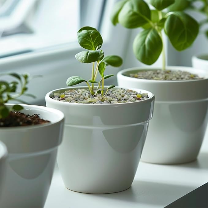 HappyFiller 18 Pound Small River Stones Decorative Tiny Pea Gravel for Aquarium Fish Tank Pebbles Rocks,Indoor Outdoor Plants Catcus Succulent Top Dressing,Zen Garden,Vase Fillers,Light Green Mix