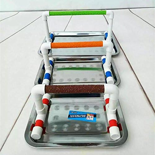 Hypeety Small Bird Parrot Stand Perch Table Top Stand Playground Grind Perch Swing Training Playstand Exercise Chew Toys for Budgies Parakeet Cockatiel Conure Finch (Stainless Steel Tray, L)