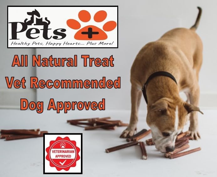 Pets Plus Premium Bart's Bully Sticks for Dogs – 6 Inch, Medium Size, All-Natural, Long-Lasting Chews for Moderate Chewers – High Protein, Low Odor, Grain-Free (5-Pack)