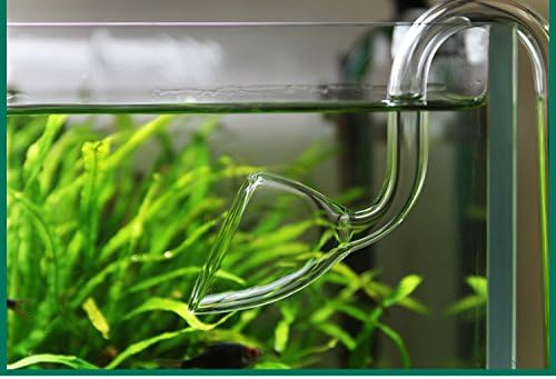 Glass Lily Pipe Outflow for Aquarium Planted Tank (10mm for 9/12mm (3/8" ID) tubing)