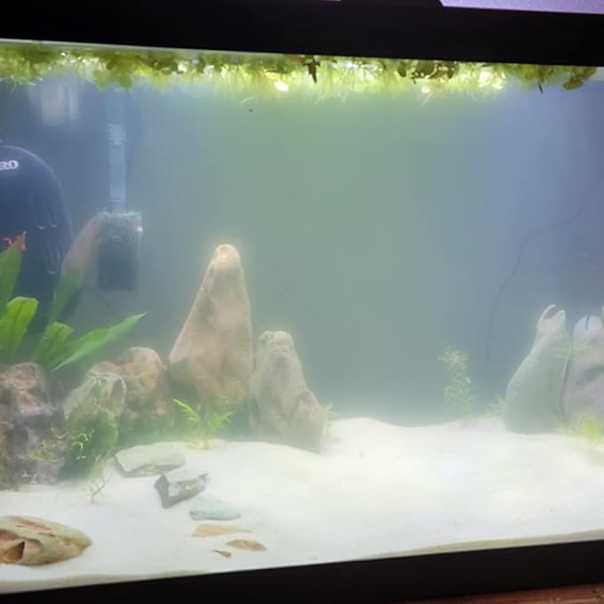 Natural Stone Aquarium Decoration 4.4 lb Dragon Stone Rock Mixed Sizes for Micro Landscape Fish Tank Decor