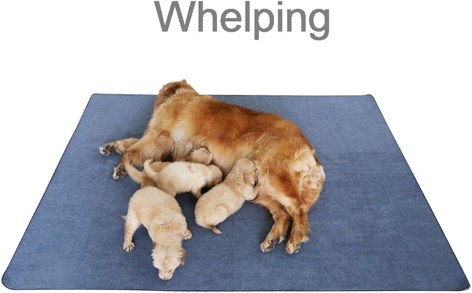 Peepeego Non-Slip Dog Pads Extra Large 72" x 72", Washable Puppy Pads with Fast Absorbent, Reusable, Waterproof for Training, Whelping, Housebreaking, Incontinence, for Playpen