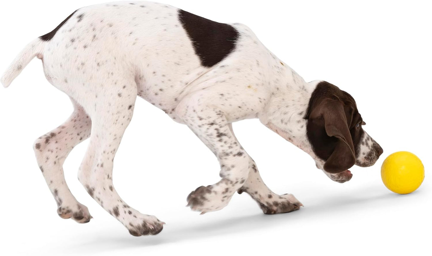 WEST PAW Boundr Ball Dog Fetch Toy – Bouncing Toys for Dogs, Fetch, Catch, Chewing, Play – Floatable, Recyclable Balls – Small Aqua Blue/Dandelion Yellow 2-Pack